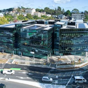 Tainui-ACC-0037